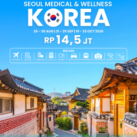 Medical & Wellness Tour Seoul, Korea