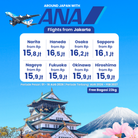Ticket Promo ANA