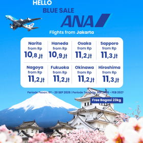 ANA Tickets