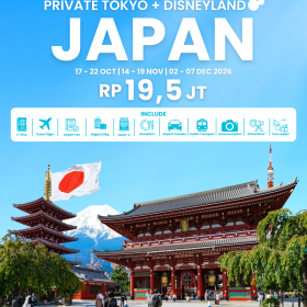 Private Tour Tokyo + Disneyland / Mt. Fuji