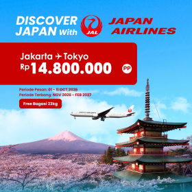 Japan Airlines Ticket